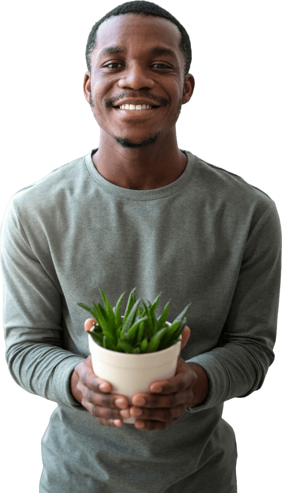 Grant provider professional