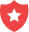 Shield icon